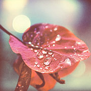 CC在线压力测试